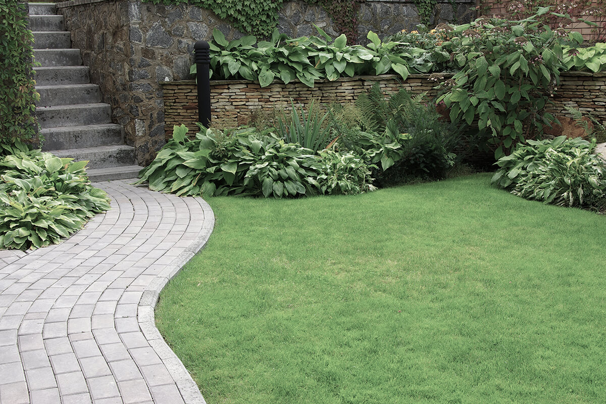 Welcome to Avalon Landscaping